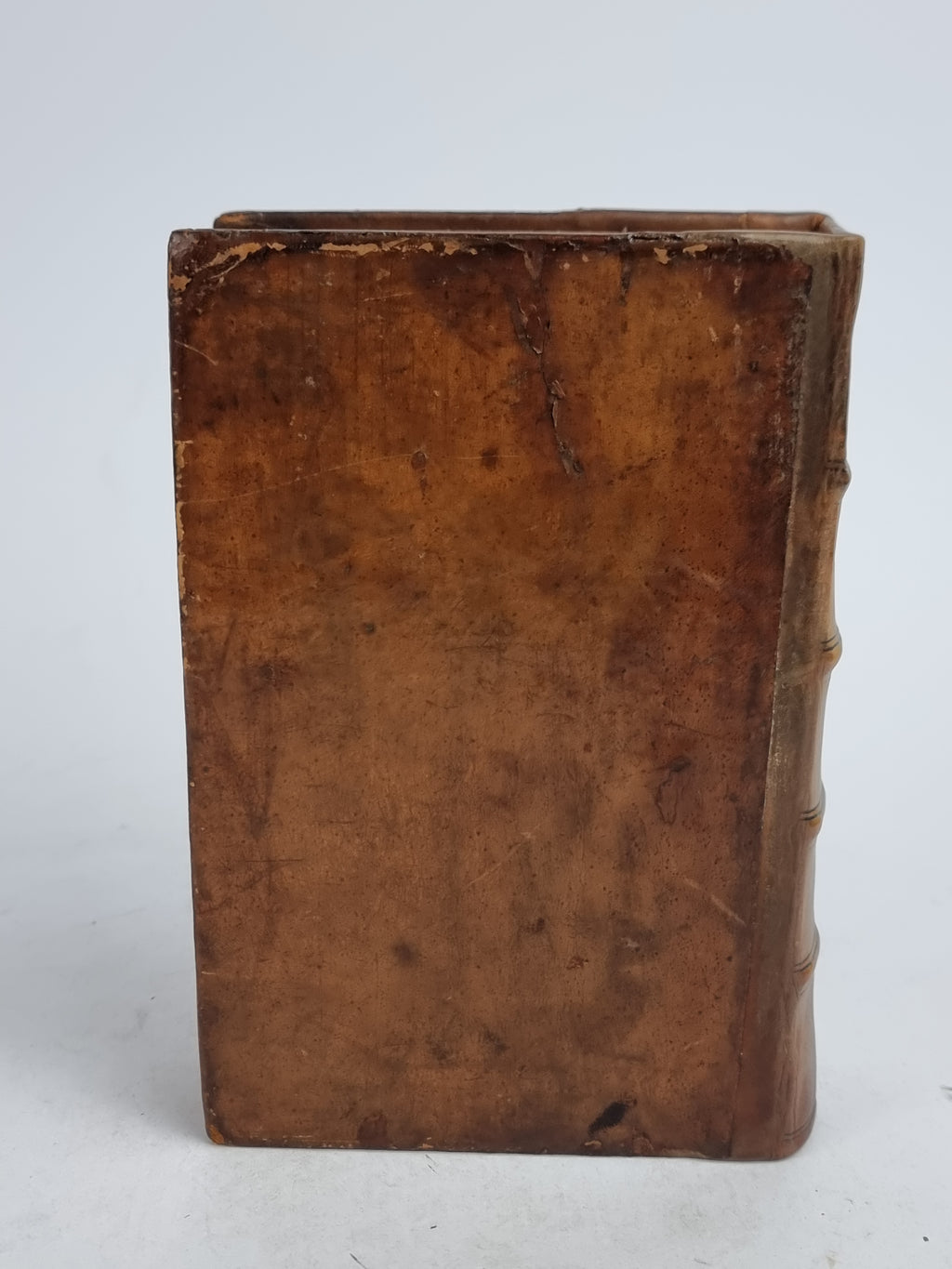 Pansebeia: or, A View of all Religions in the World (Bound with: Apocalypsis)