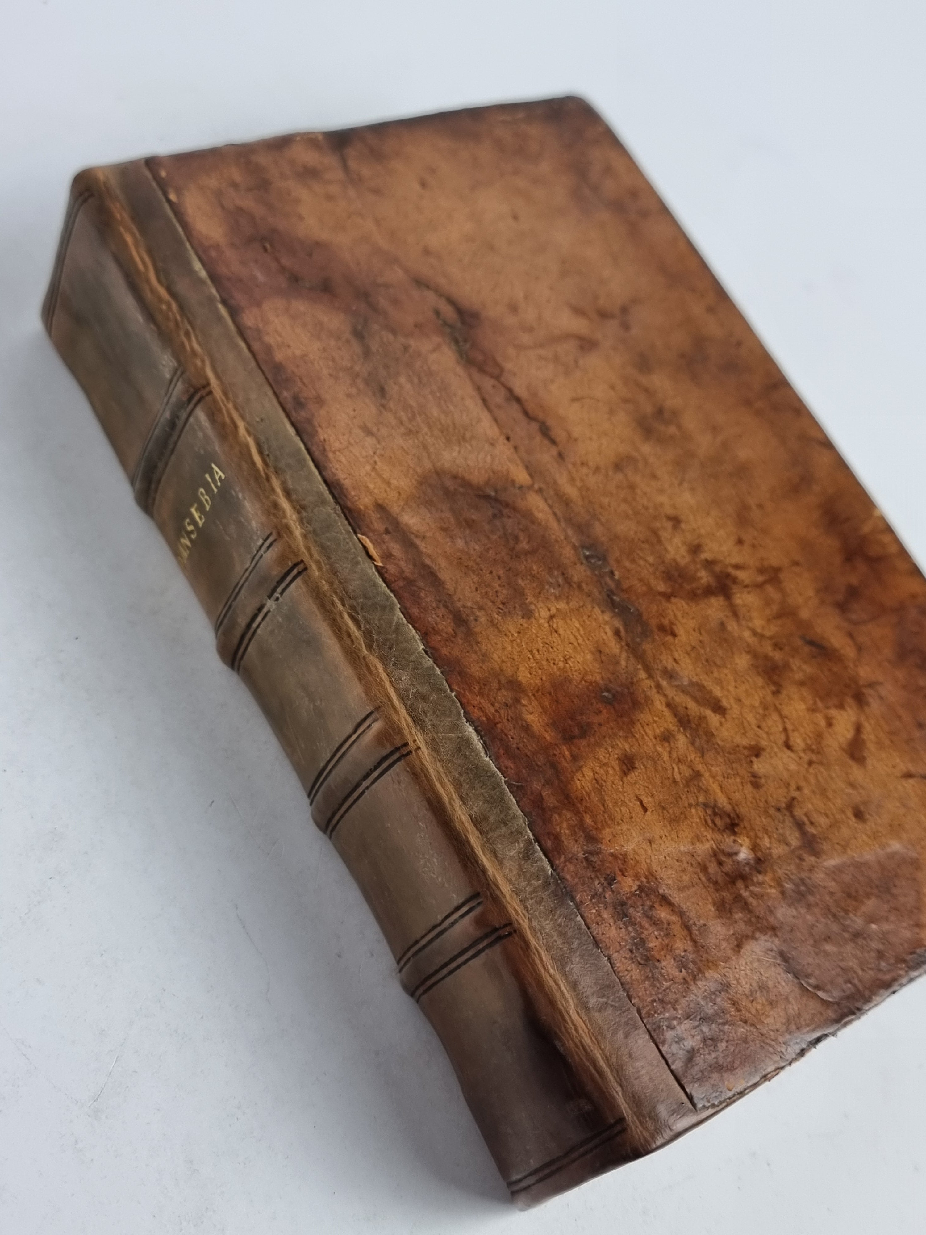 Pansebeia: or, A View of all Religions in the World (Bound with: Apocalypsis)