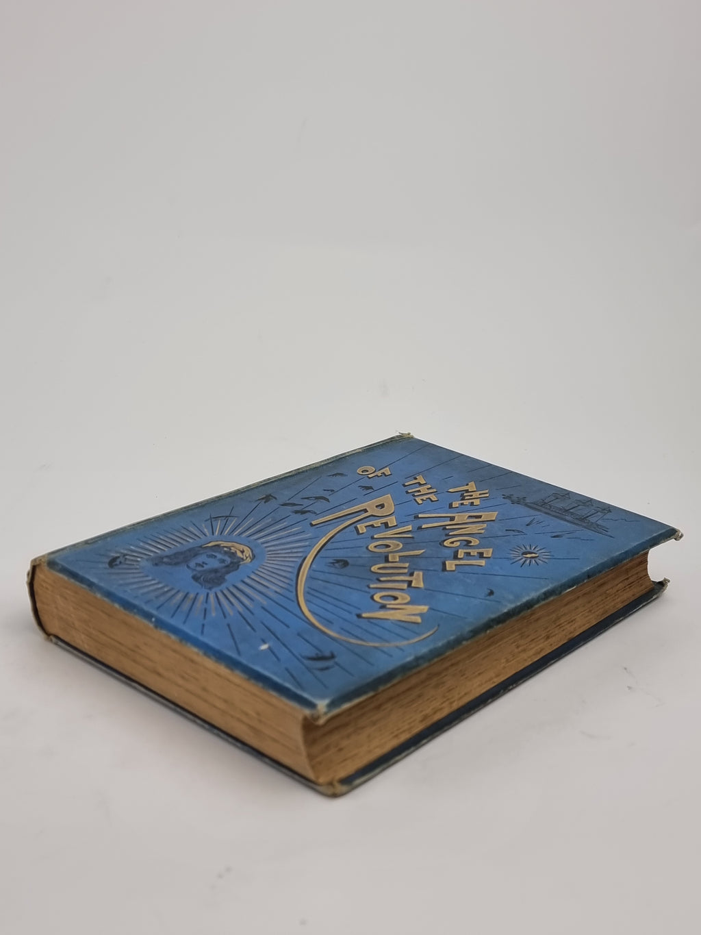 The Angel of the Revolution, George Griffith — 3rd Edition