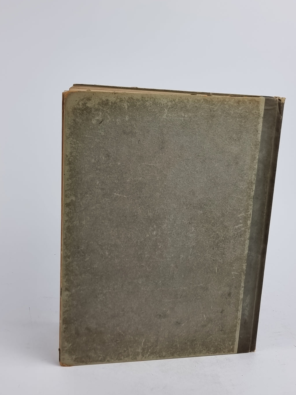 The Story of Dulcibella and the Fairies, Alice M. Raiker — 1st Edition