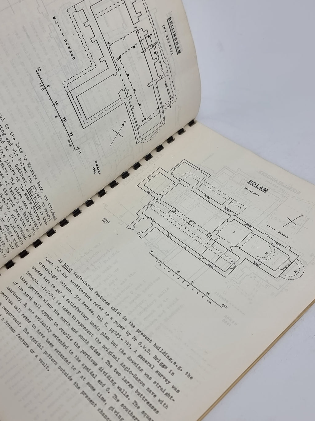Hidden Churches of Northumbria: Forty Four Dowsed Plans, H Denis Briggs