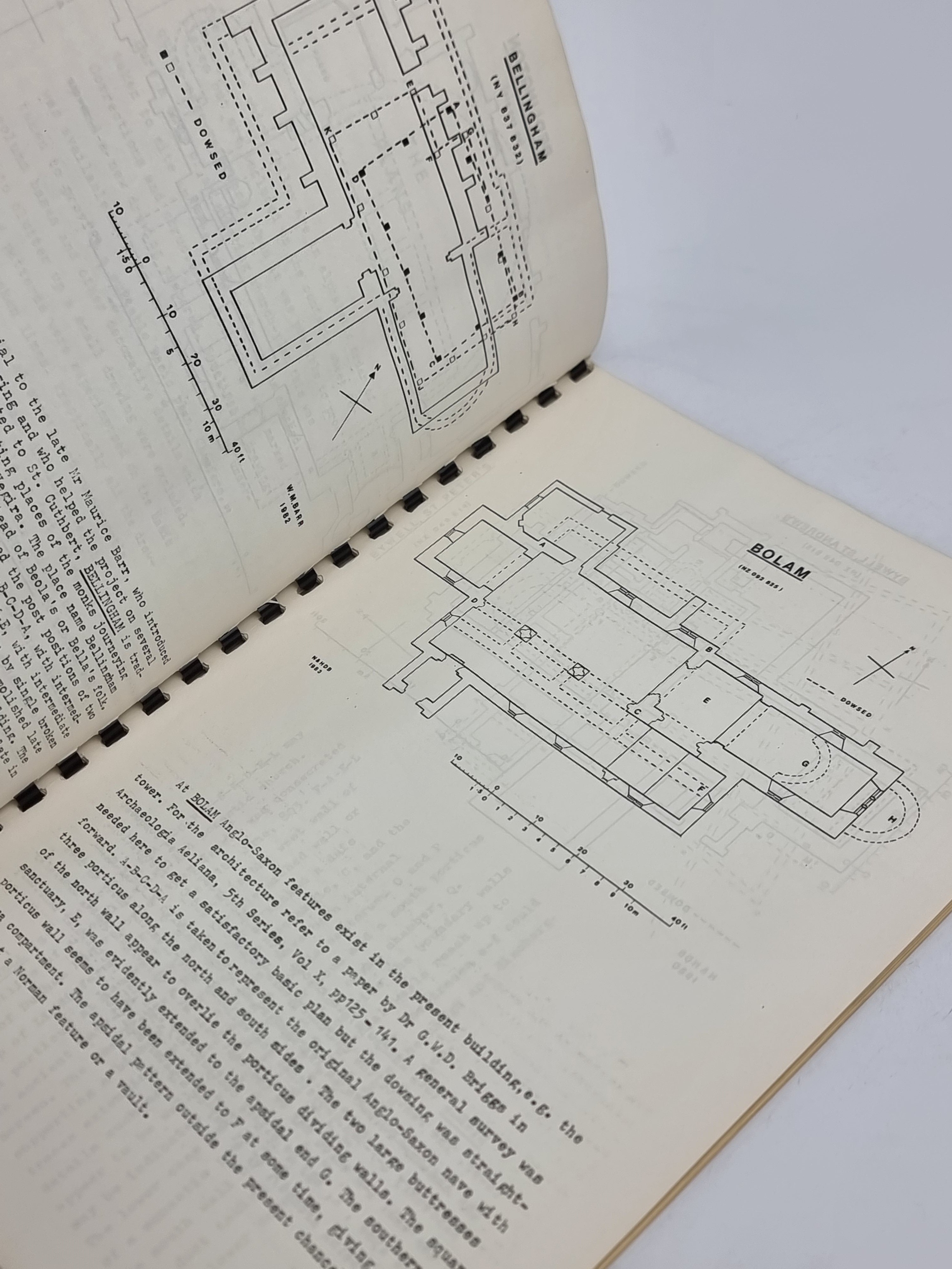 Hidden Churches of Northumbria: Forty Four Dowsed Plans, H Denis Briggs