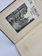 Pink Diamonds, McFaddyen O'Flatherty McGinnis — 1st Edition