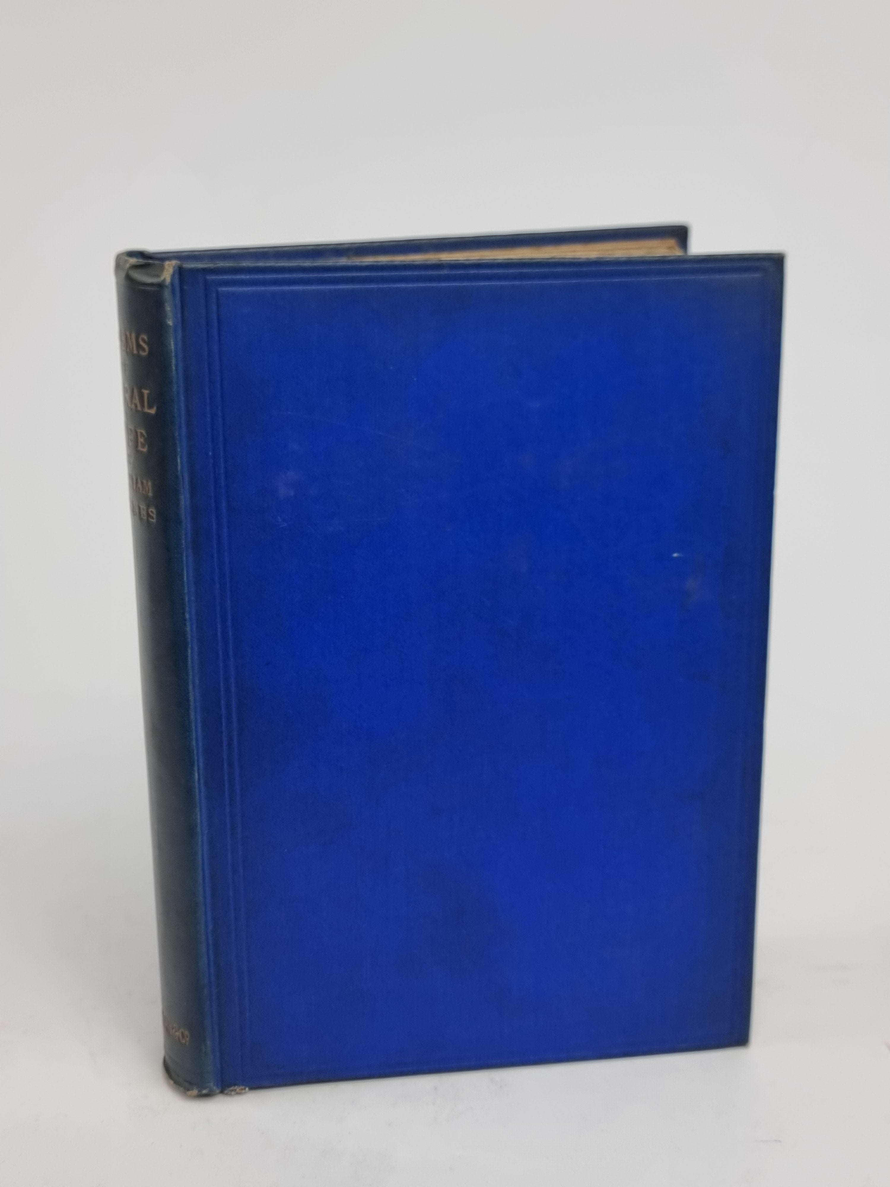 Poems of Rural Life in Common English, William Barnes — 1st Edition