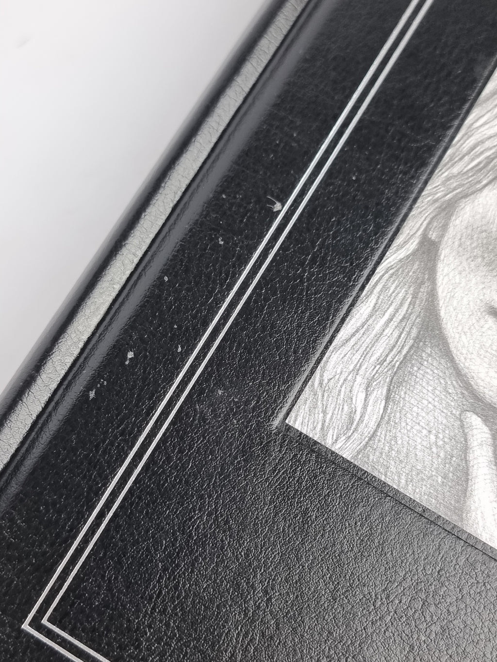 Wonderstruck, Brian Selznick — Limited Collector's Edition