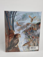 Harry Potter and the Philosopher's Stone, J.K. Rowling — 1st Illustrated Ed