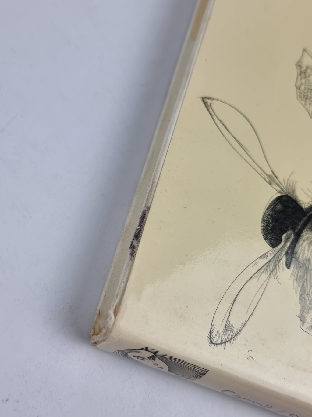 Alice in Wonderland, Lewis Carroll — 1st Firefly Books Edition