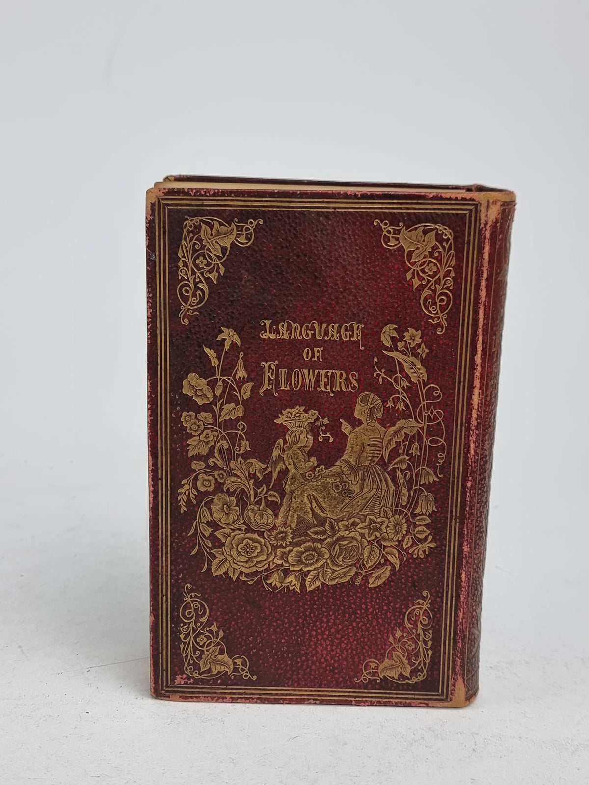 The Poetical Language of Flowers; or, The Pilgrimage of Love, Thomas Miller