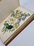 The Poetical Language of Flowers; or, The Pilgrimage of Love, Thomas Miller