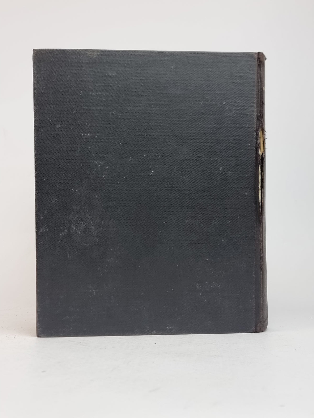 Bildnerei der Geisteskranken, Hans Prinzhorn — Zweite Auflage