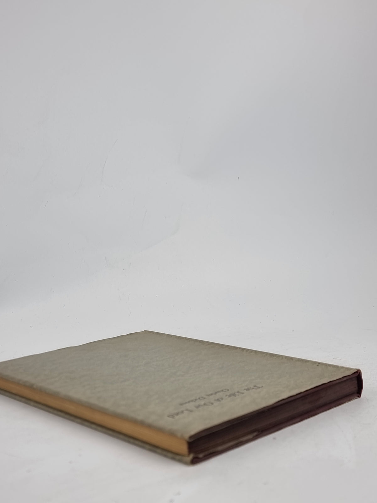 The Life of Our Lord, Charles Dickens — 1st Edition