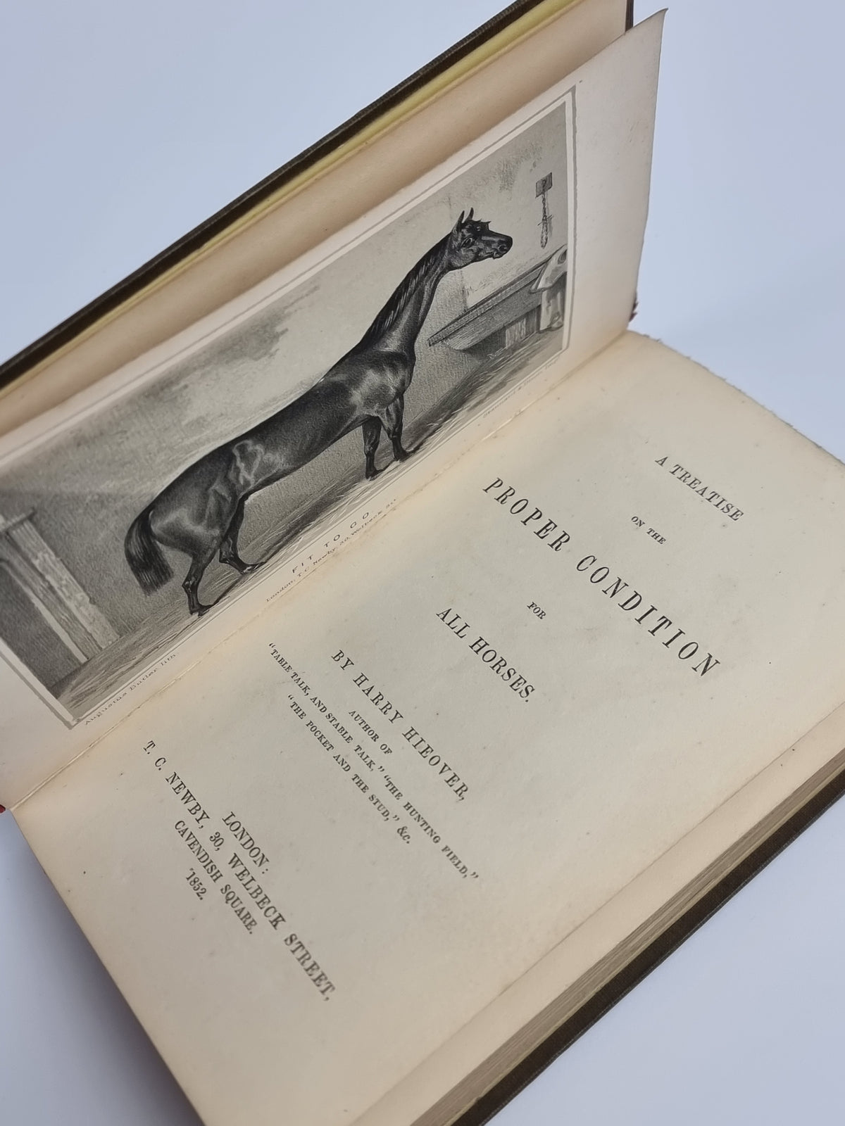 A Treatise on the Proper Condition for All Horses, Harry Hieover — 1st Edition