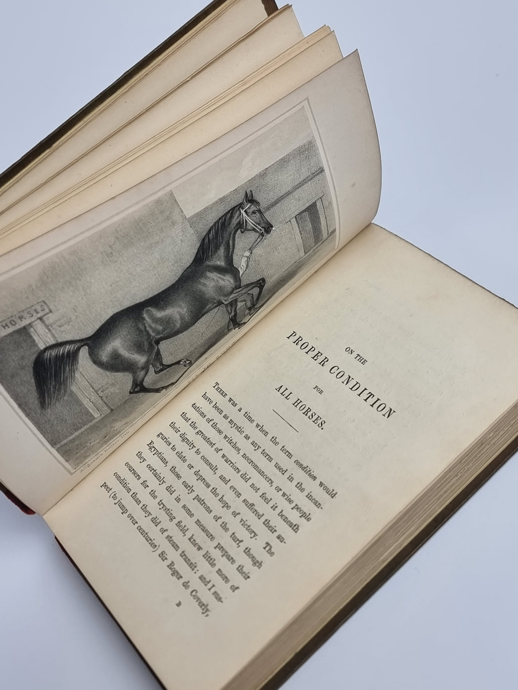 A Treatise on the Proper Condition for All Horses, Harry Hieover — 1st Edition