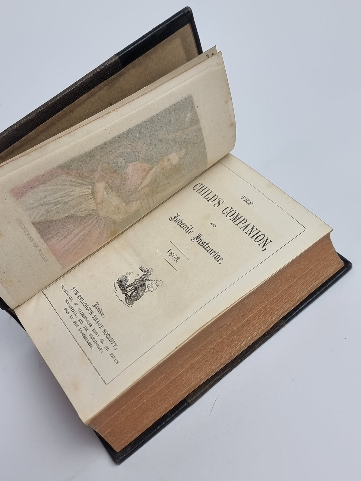 The Child's Companion, and Juvenile Instructor, Various — 1st Edition