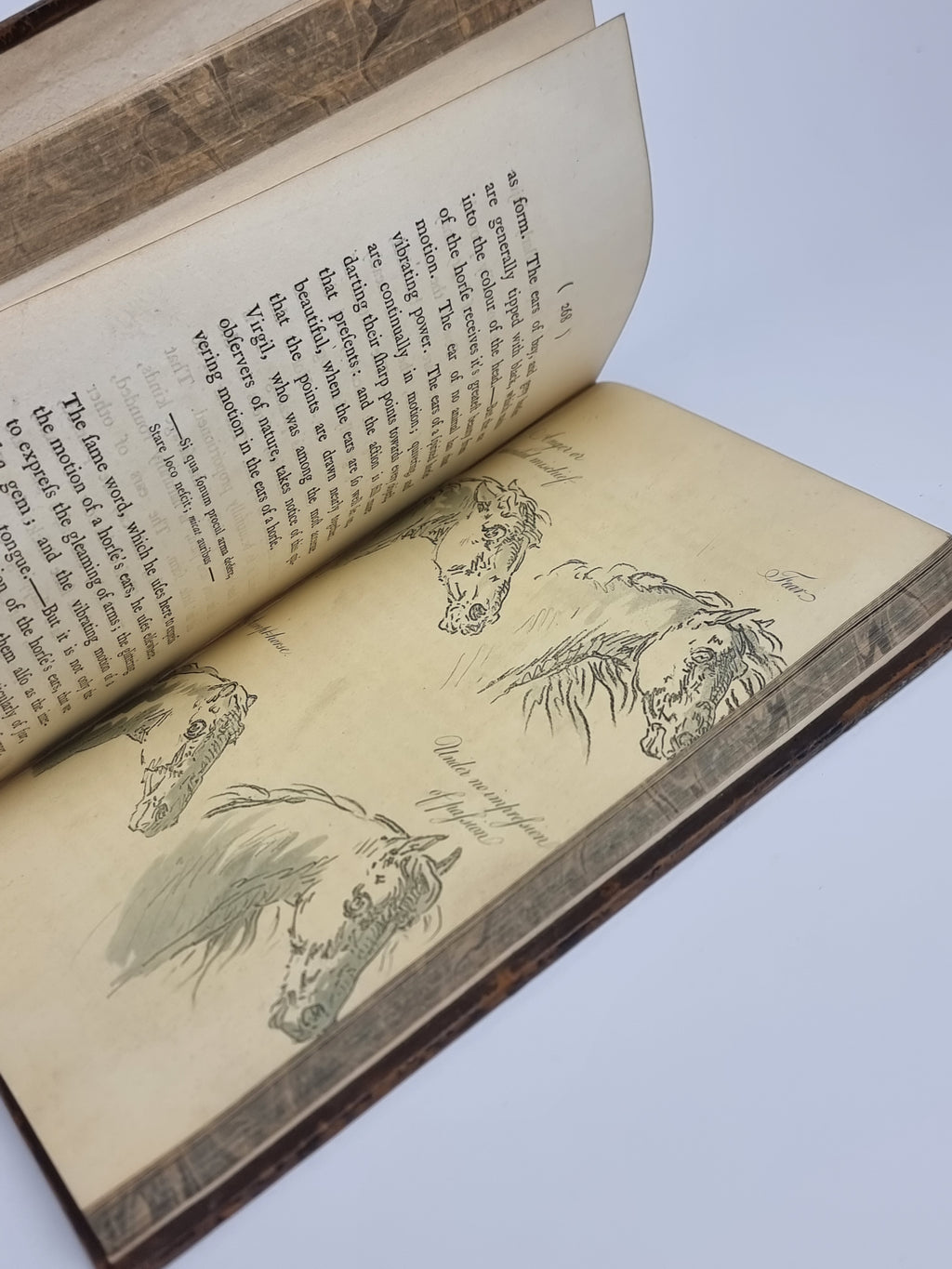 Remarks on Forest Scenery, William Gilpin — 2nd Edition