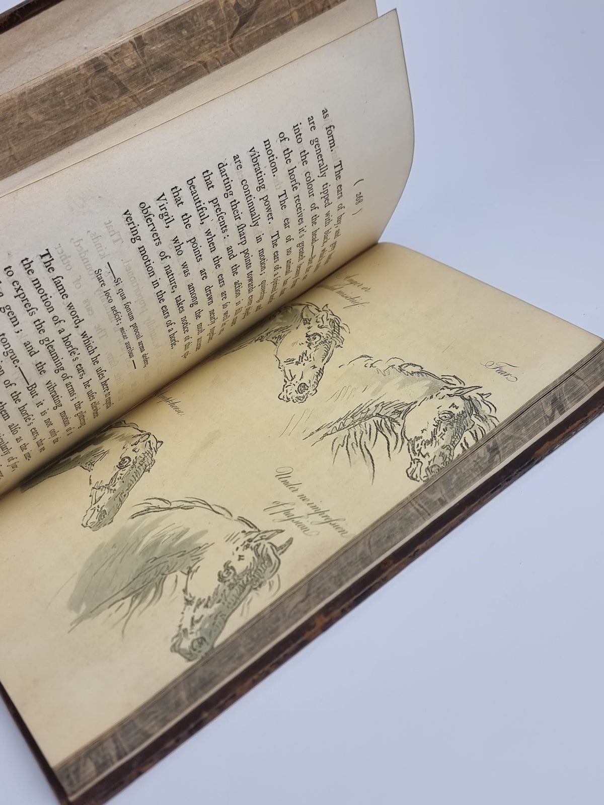 Remarks on Forest Scenery, William Gilpin — 2nd Edition