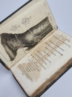 A Treatise on Veterinary Medicine (Vols. II & III), James White — 4th & 6th Editions