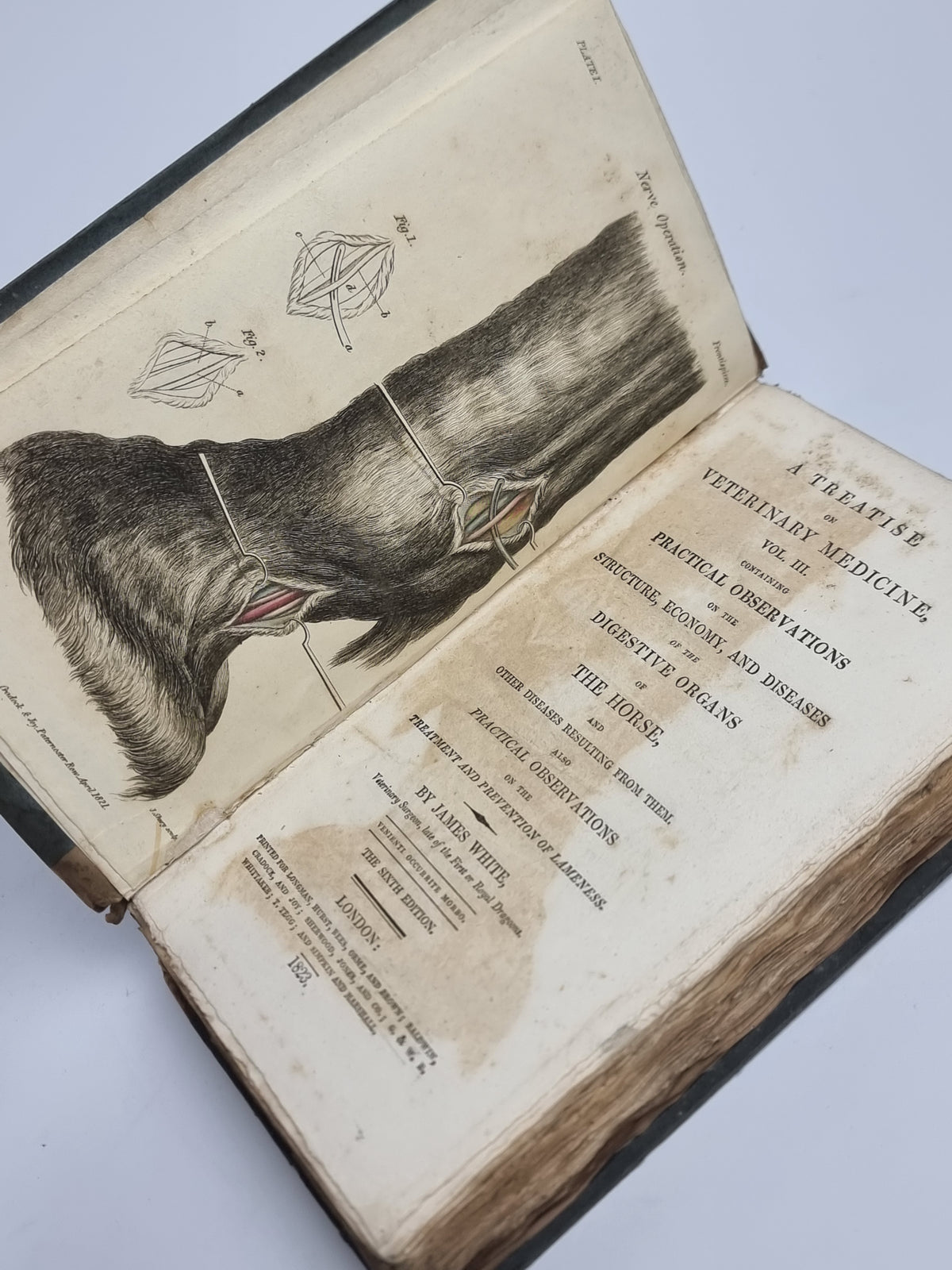 A Treatise on Veterinary Medicine (Vols. II & III), James White — 4th & 6th Editions