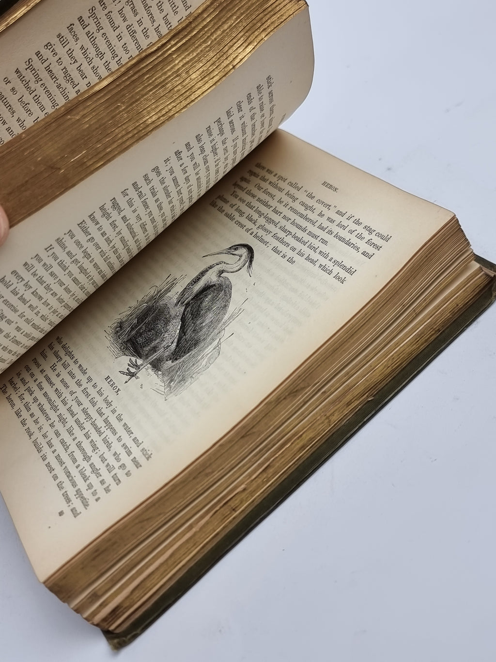 The Country Year Book, Thomas Miller