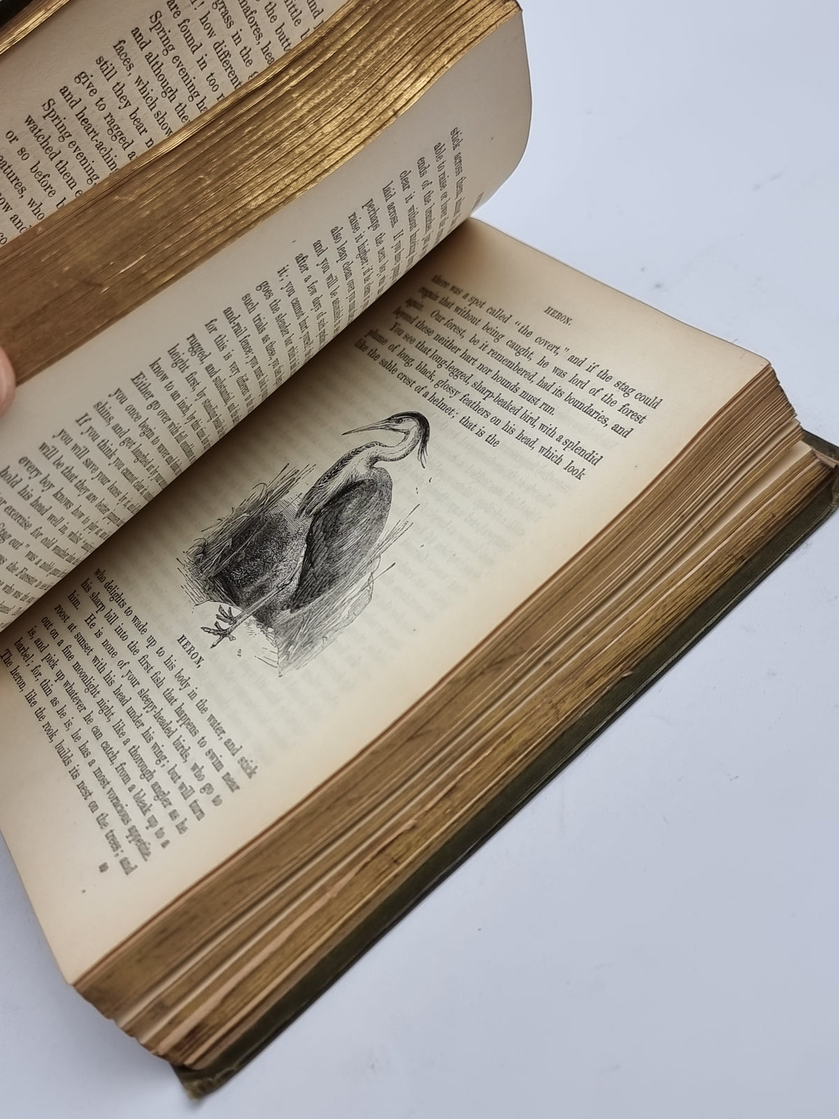 The Country Year Book, Thomas Miller