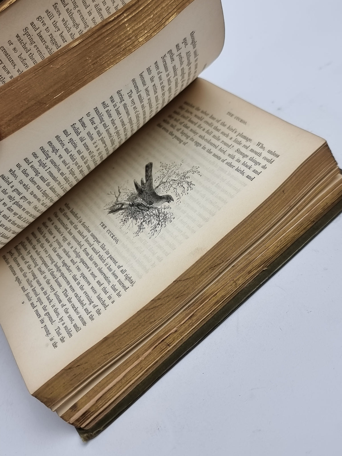 The Country Year Book, Thomas Miller
