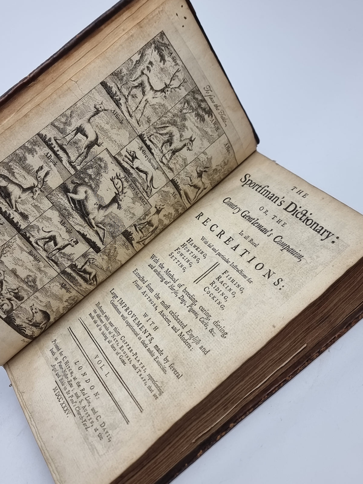 The Sportsman's Dictionary: or, The Country Gentleman's Companion, Anonymous