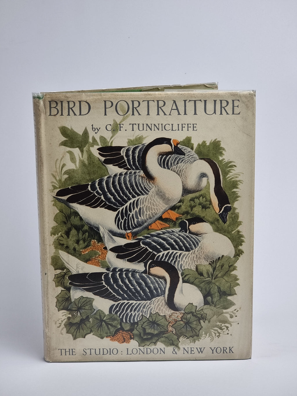 Bird Portraiture, C. F. Tunnicliffe — 1st Edition
