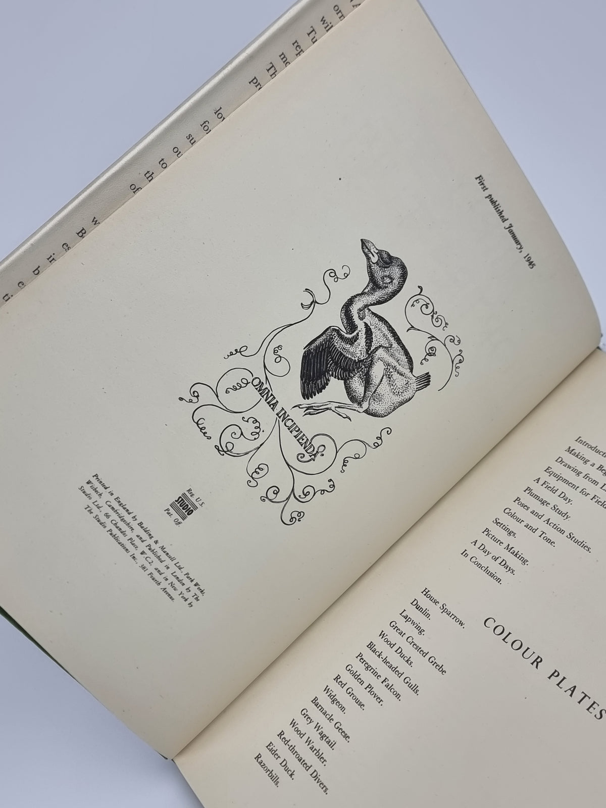 Bird Portraiture, C. F. Tunnicliffe — 1st Edition