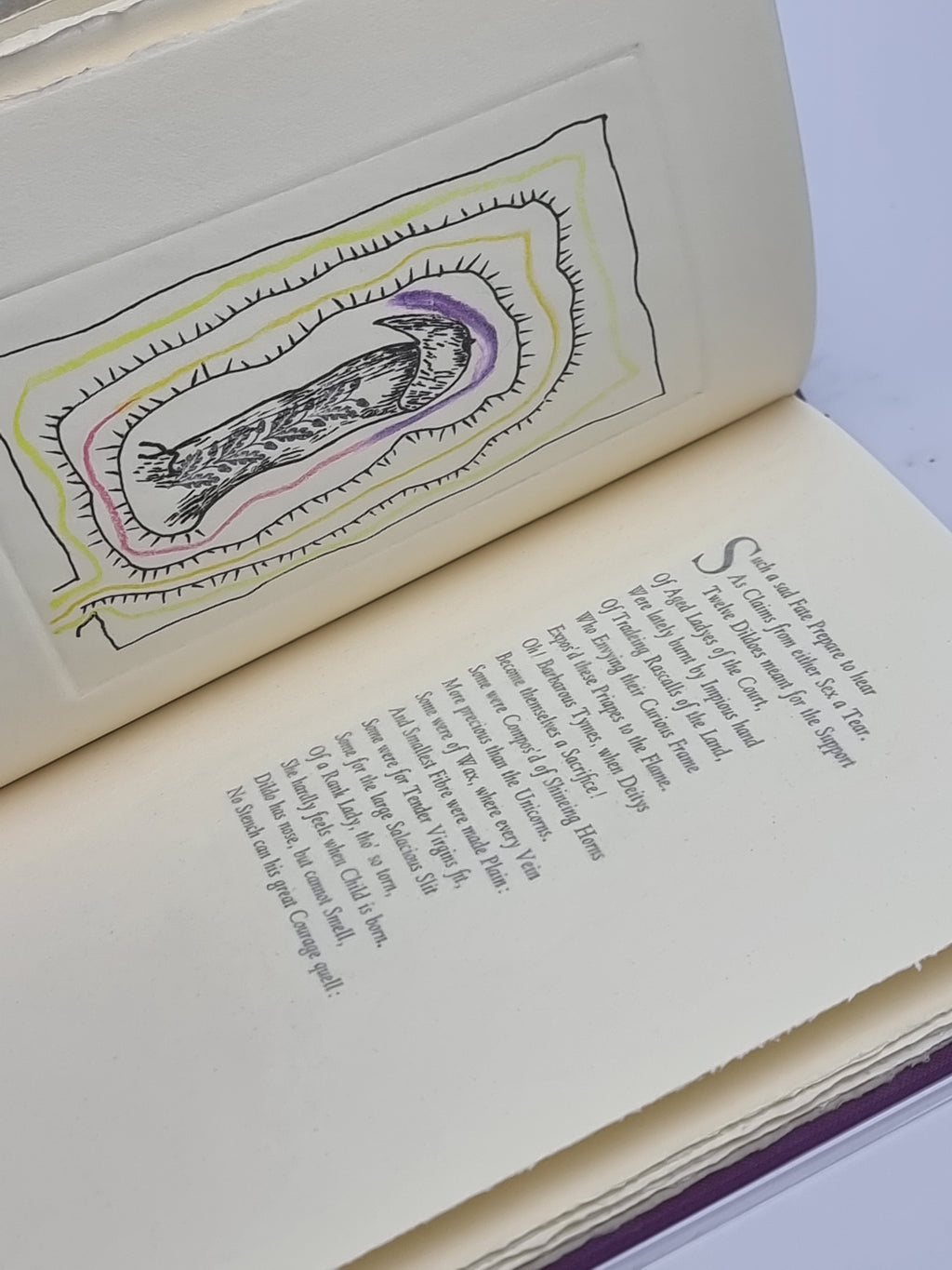 Dildoides, Samuel Butler