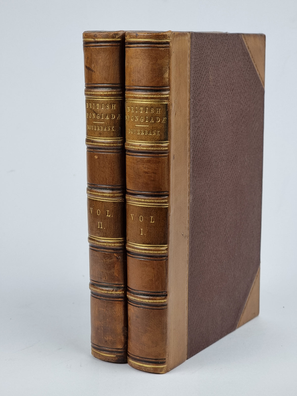 A Monograph of the British Spongiadae (Vols. I & II), J. S. Bowerbank — 1st Ed
