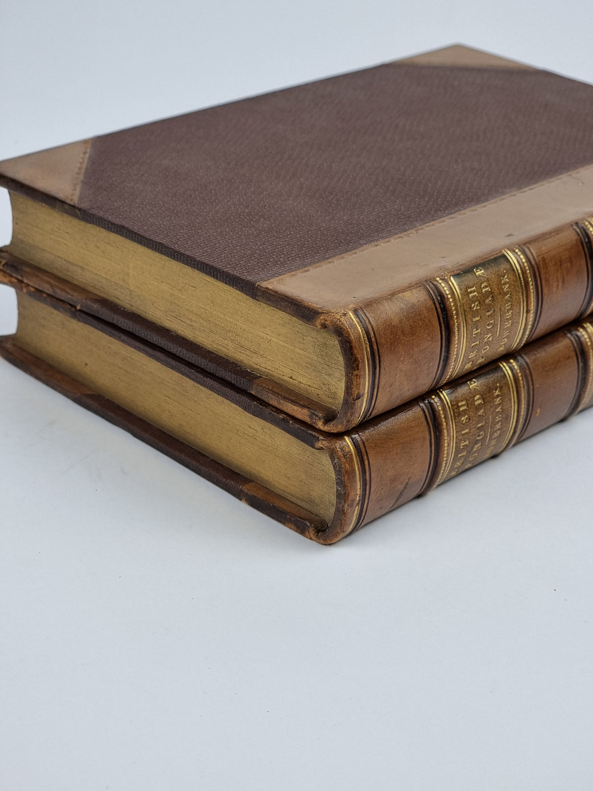A Monograph of the British Spongiadae (Vols. I & II), J. S. Bowerbank — 1st Ed