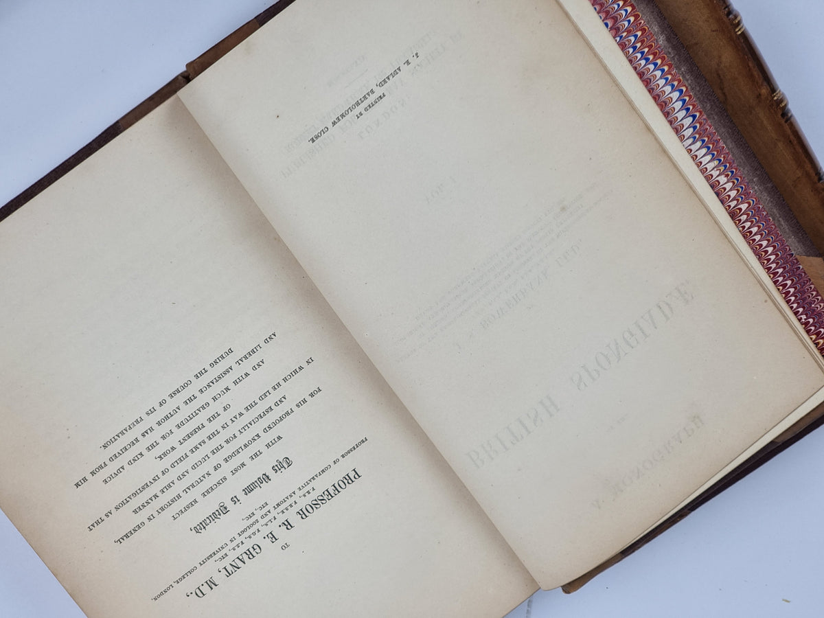A Monograph of the British Spongiadae (Vols. I & II), J. S. Bowerbank — 1st Ed