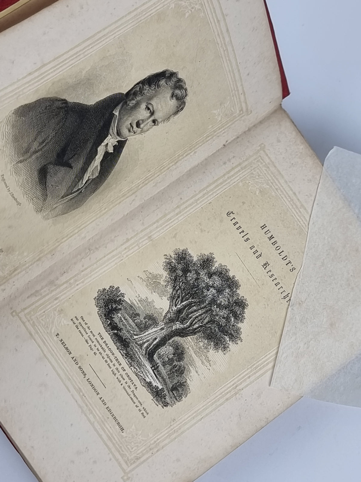 The Travels and Researches of Alexander von Humboldt, W. Macgillivray