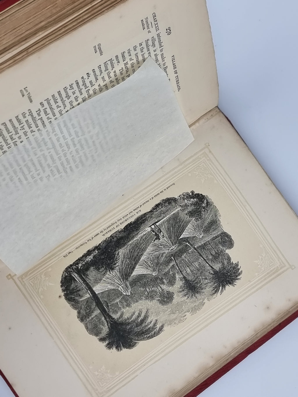 The Travels and Researches of Alexander von Humboldt, W. Macgillivray