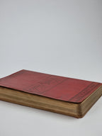 Pictorial and Illustrated Guide to North Wales and its Watering Places — 1st Ed
