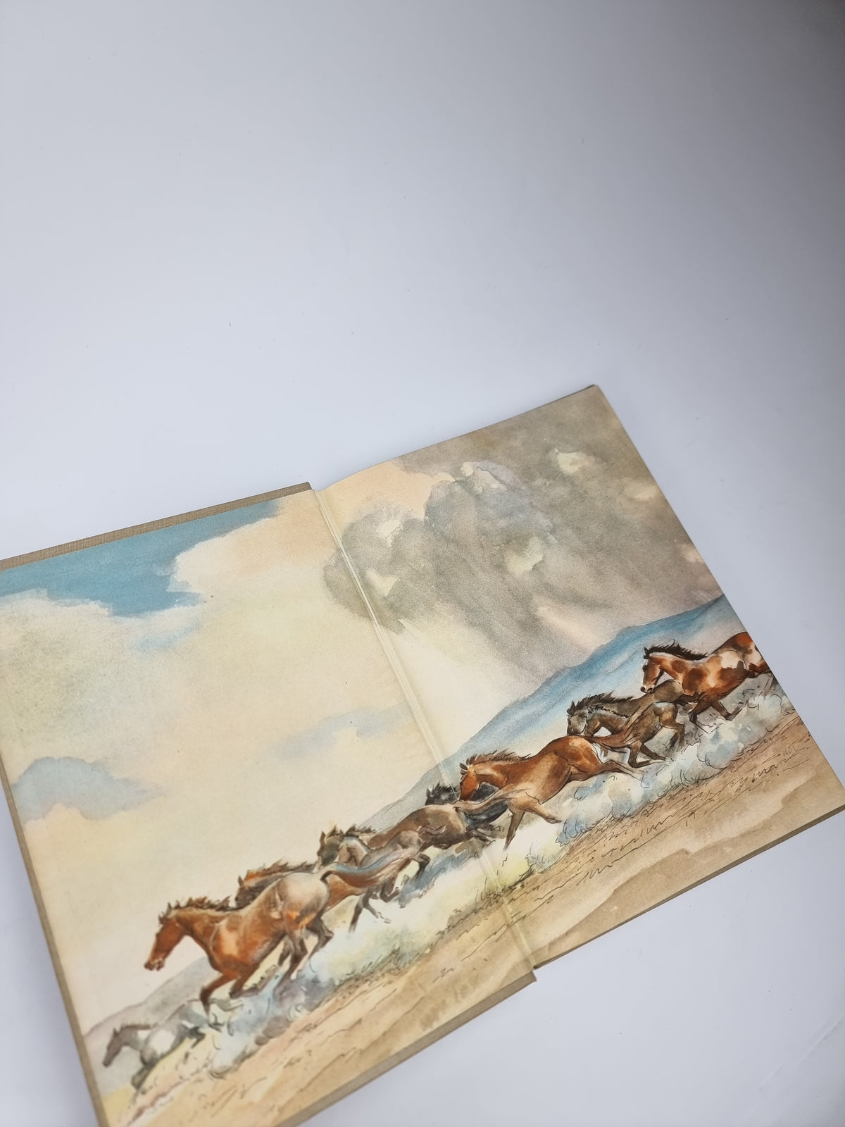 The Red Pony, John Steinbeck — 1st Illustrated Edition