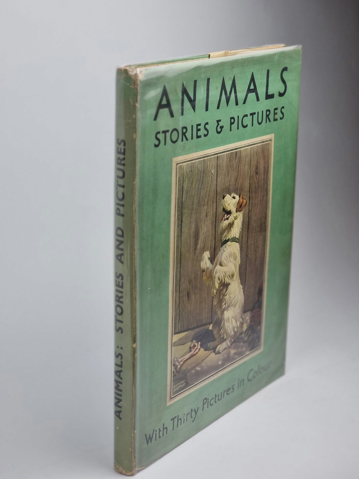 Animals: Stories & Pictures — 1st Edition
