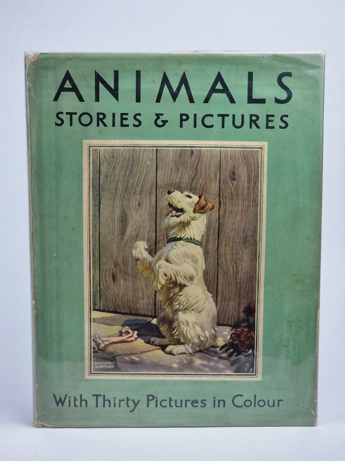 Animals: Stories & Pictures — 1st Edition