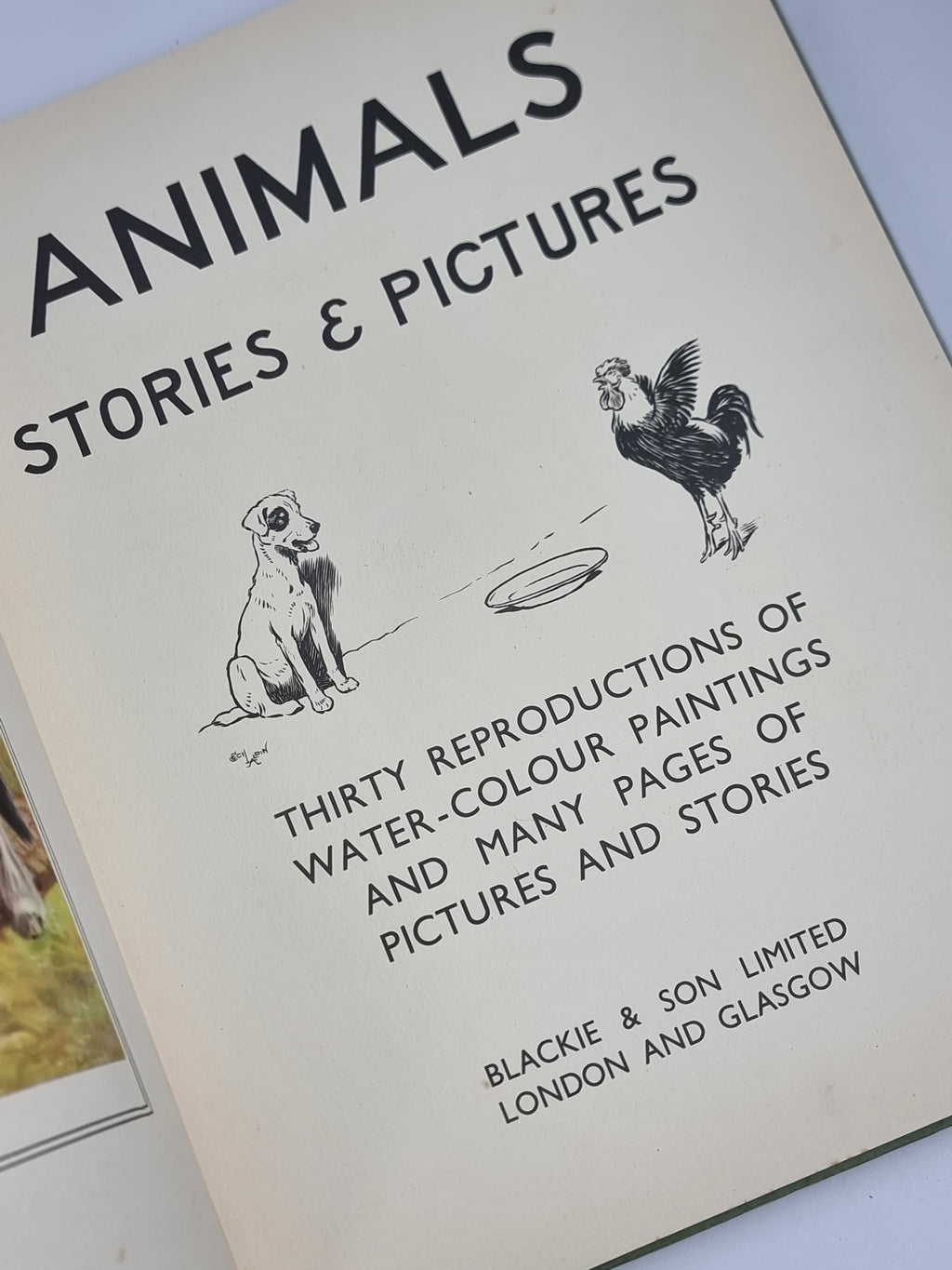 Animals: Stories & Pictures — 1st Edition