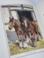Animals: Stories & Pictures — 1st Edition