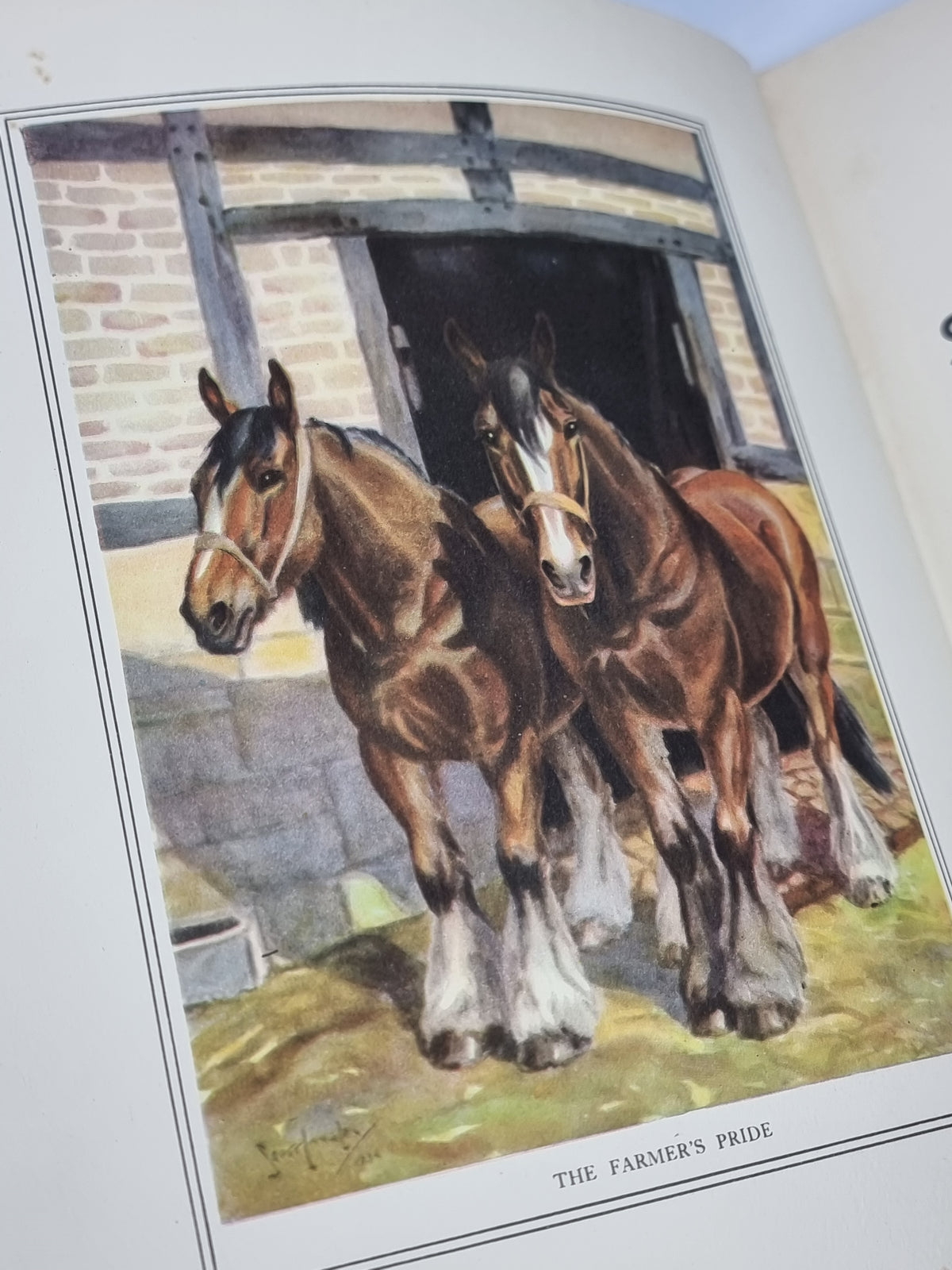 Animals: Stories & Pictures — 1st Edition