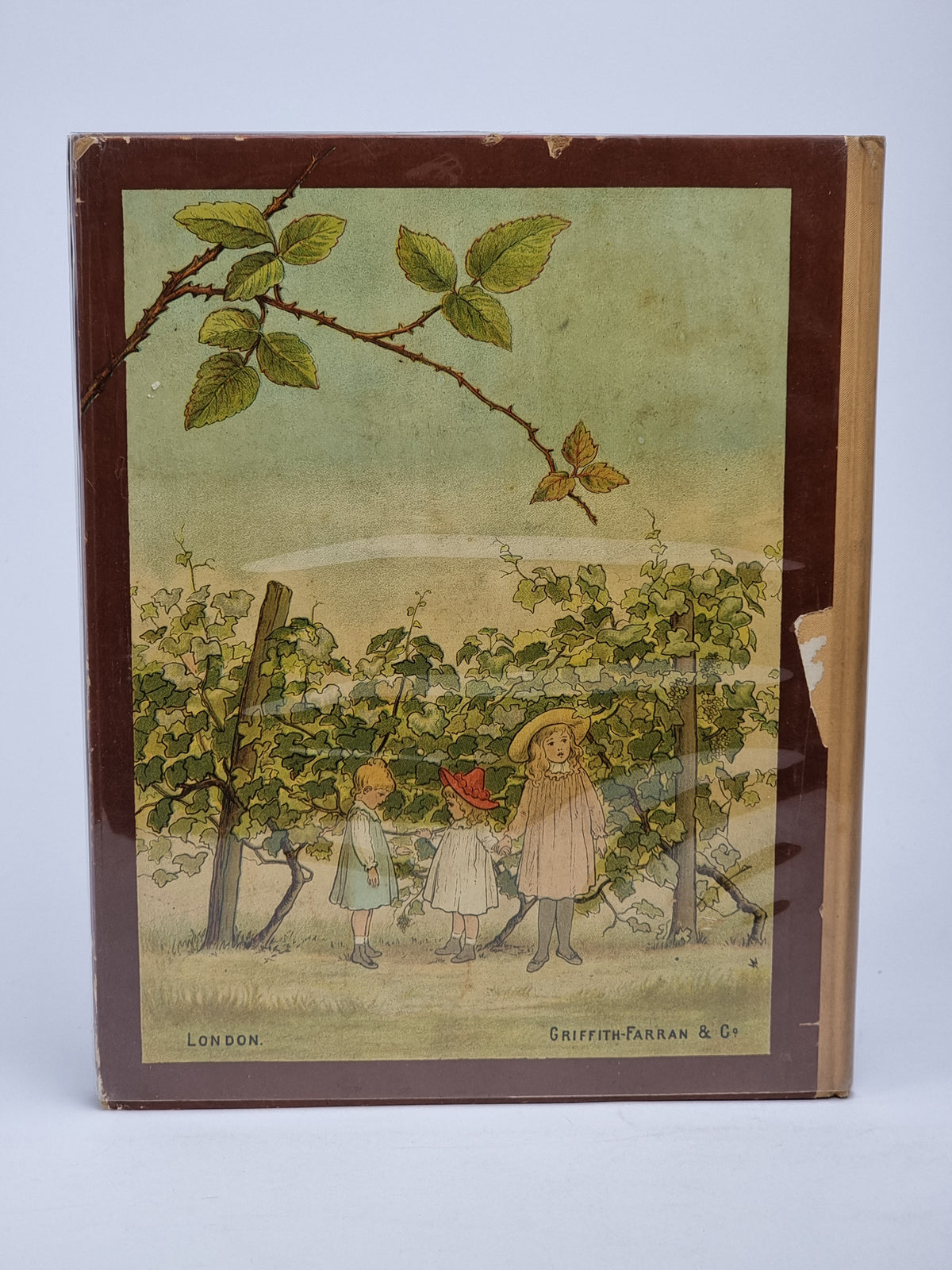 Little Chicks and Baby Tricks, Ida Waugh — 1st Edition