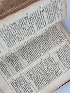 Lyra Prophetica Davidis Regis; sive Analysis Critico-Practica Psalmorum
