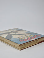 Biggles in the Gobi, Captain W. E. Johns — 1st Edition