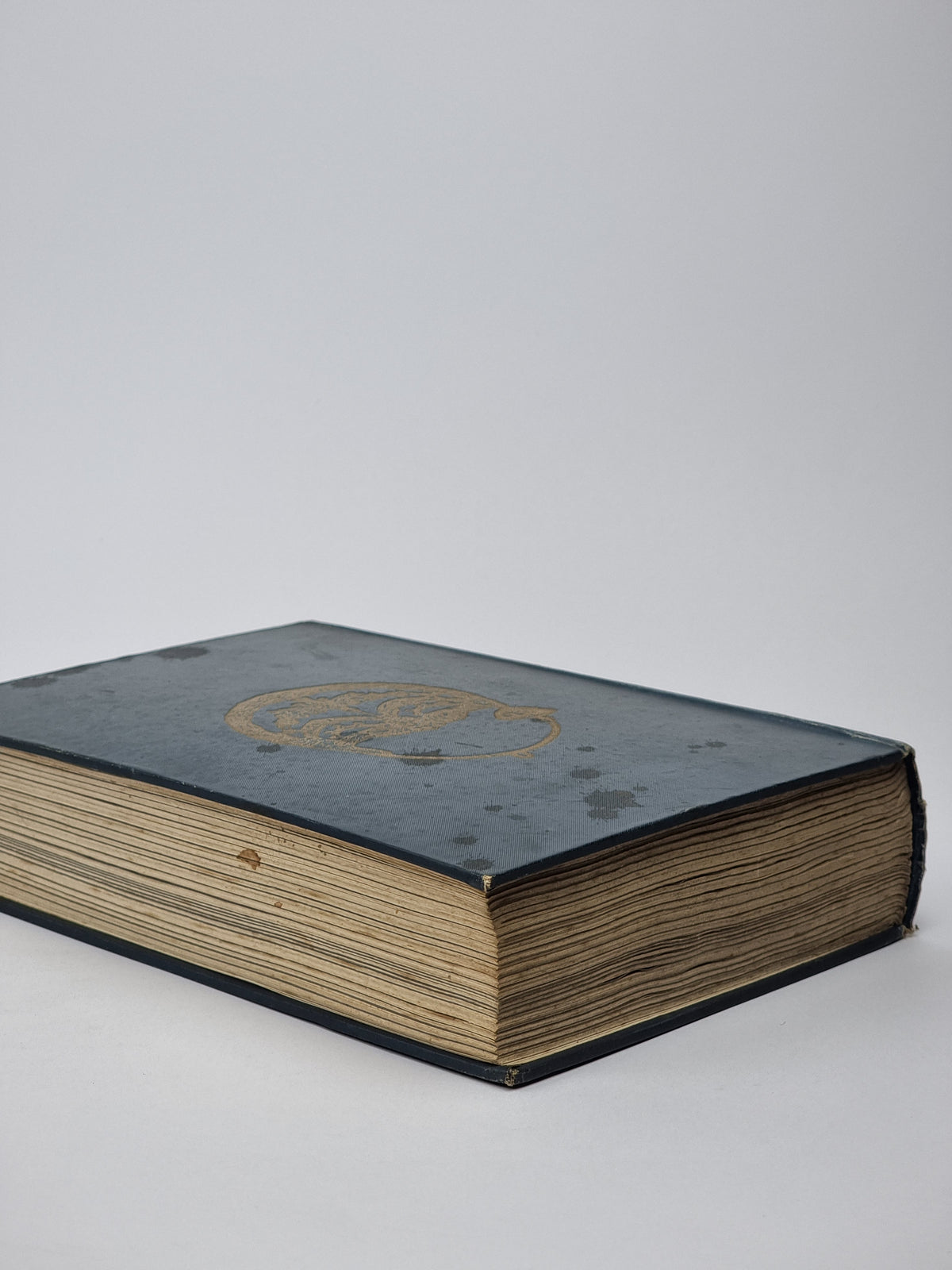 Through the Apennines and the Lands of the Abruzzi, Estella Canziani — 1st Ed