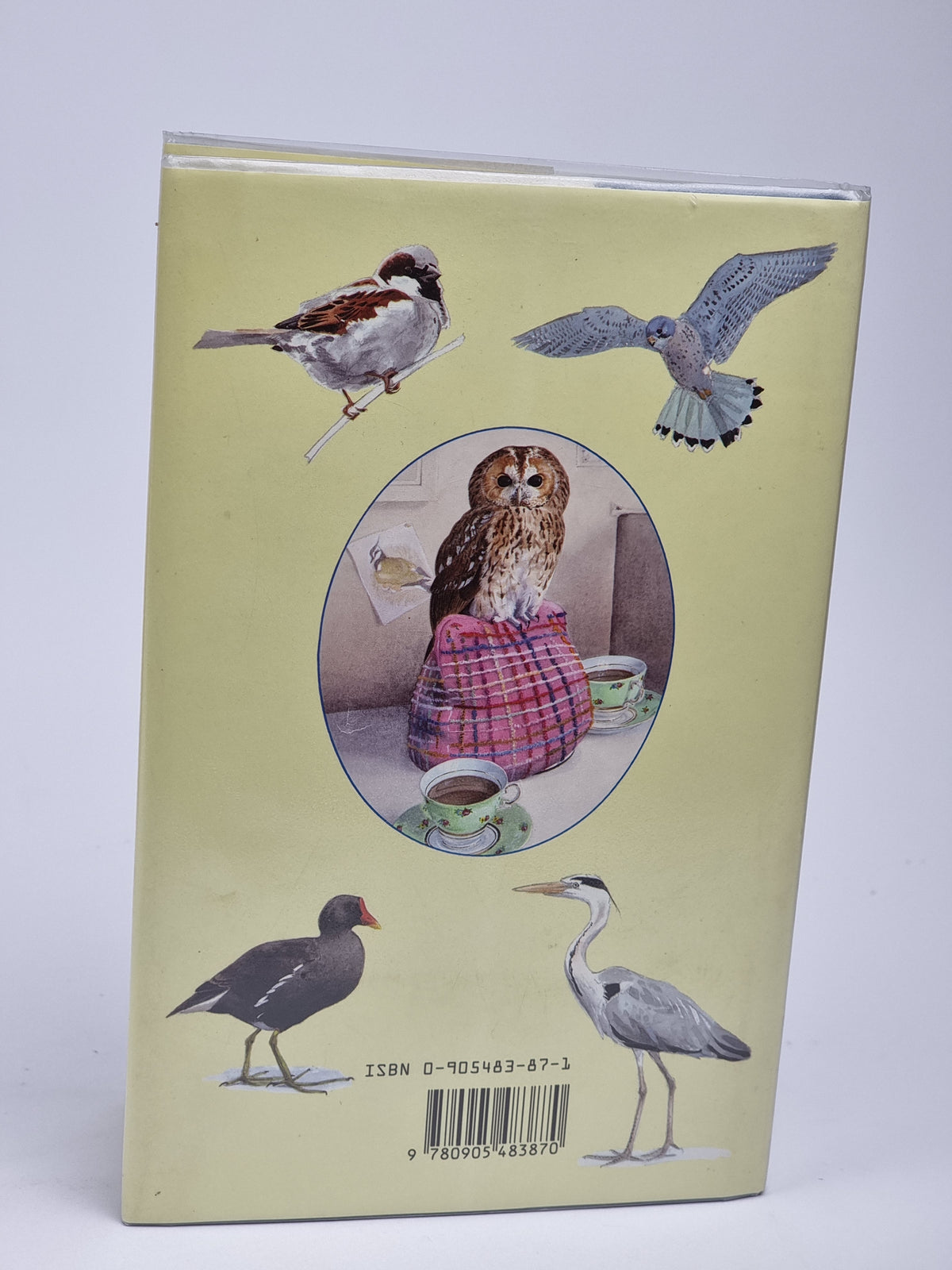 The Owl on the Teapot, Joan Grant — 1st Edition