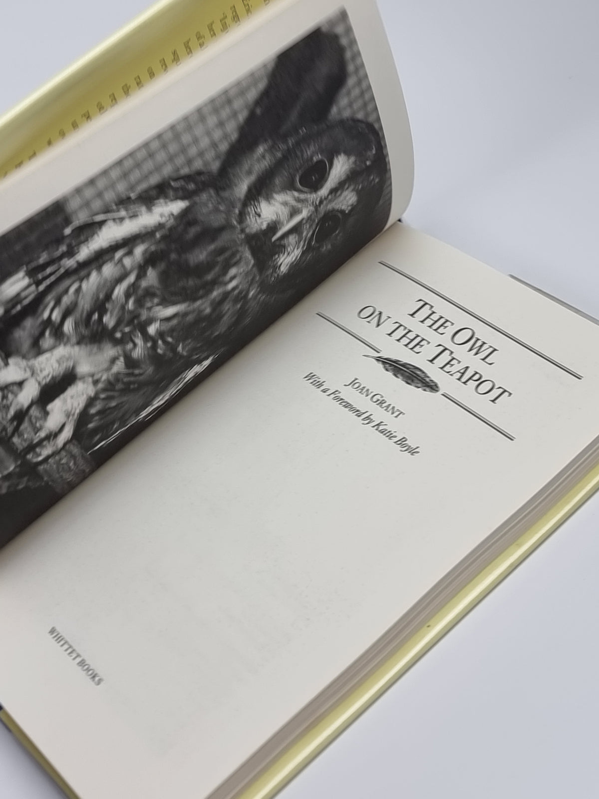 The Owl on the Teapot, Joan Grant — 1st Edition