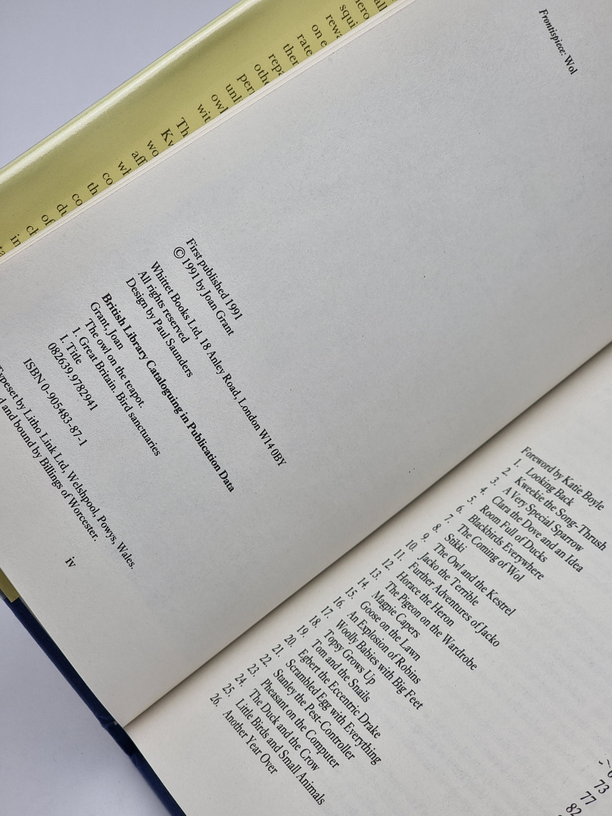 The Owl on the Teapot, Joan Grant — 1st Edition