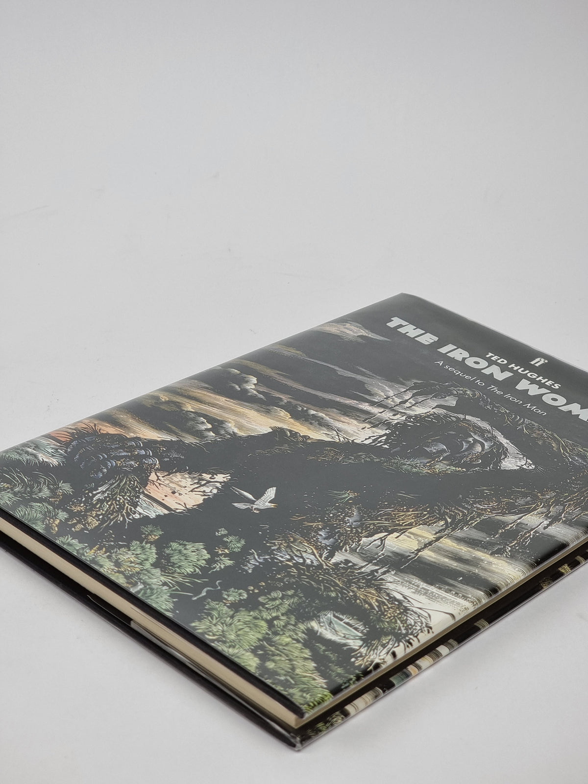 The Iron Woman, Ted Hughes — 1st Edition