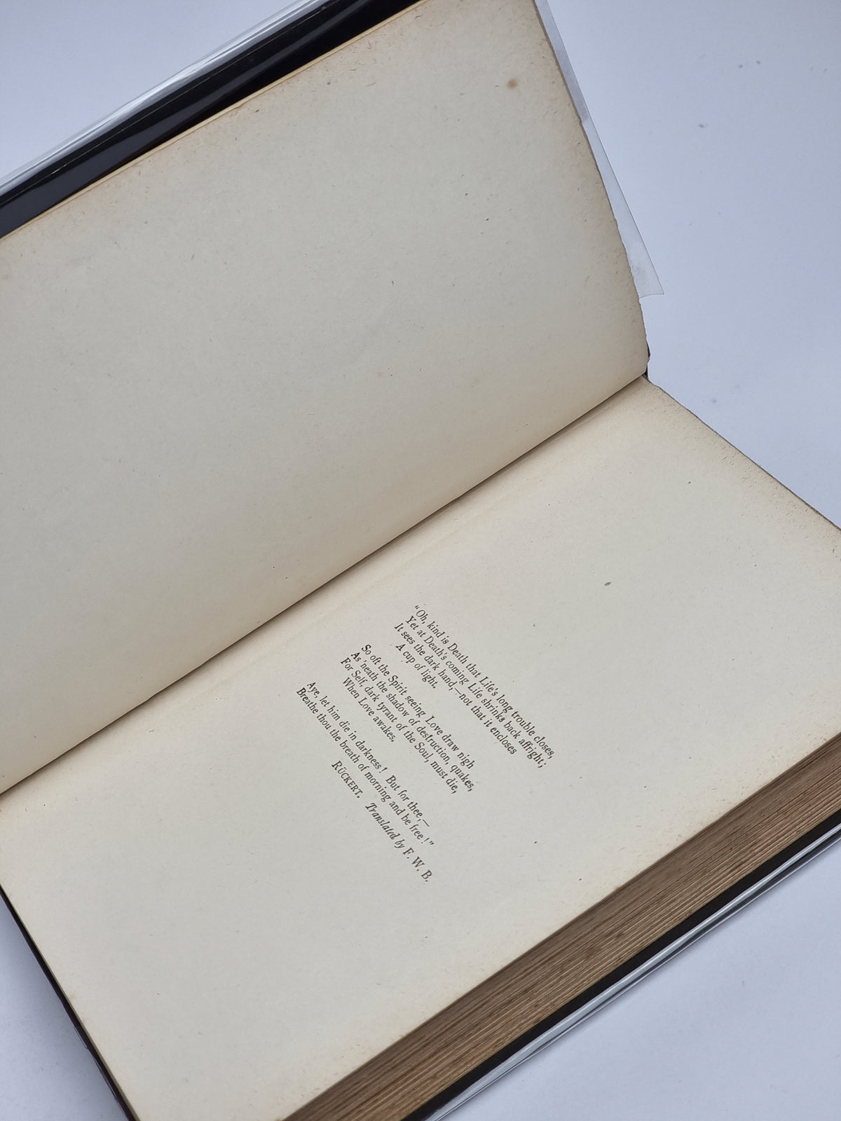 Beatrice, H. Rider Haggard — 1st Edition